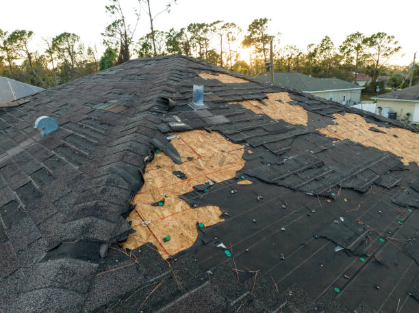 Roof Moss and Algae Removal in Elizabeth, CO